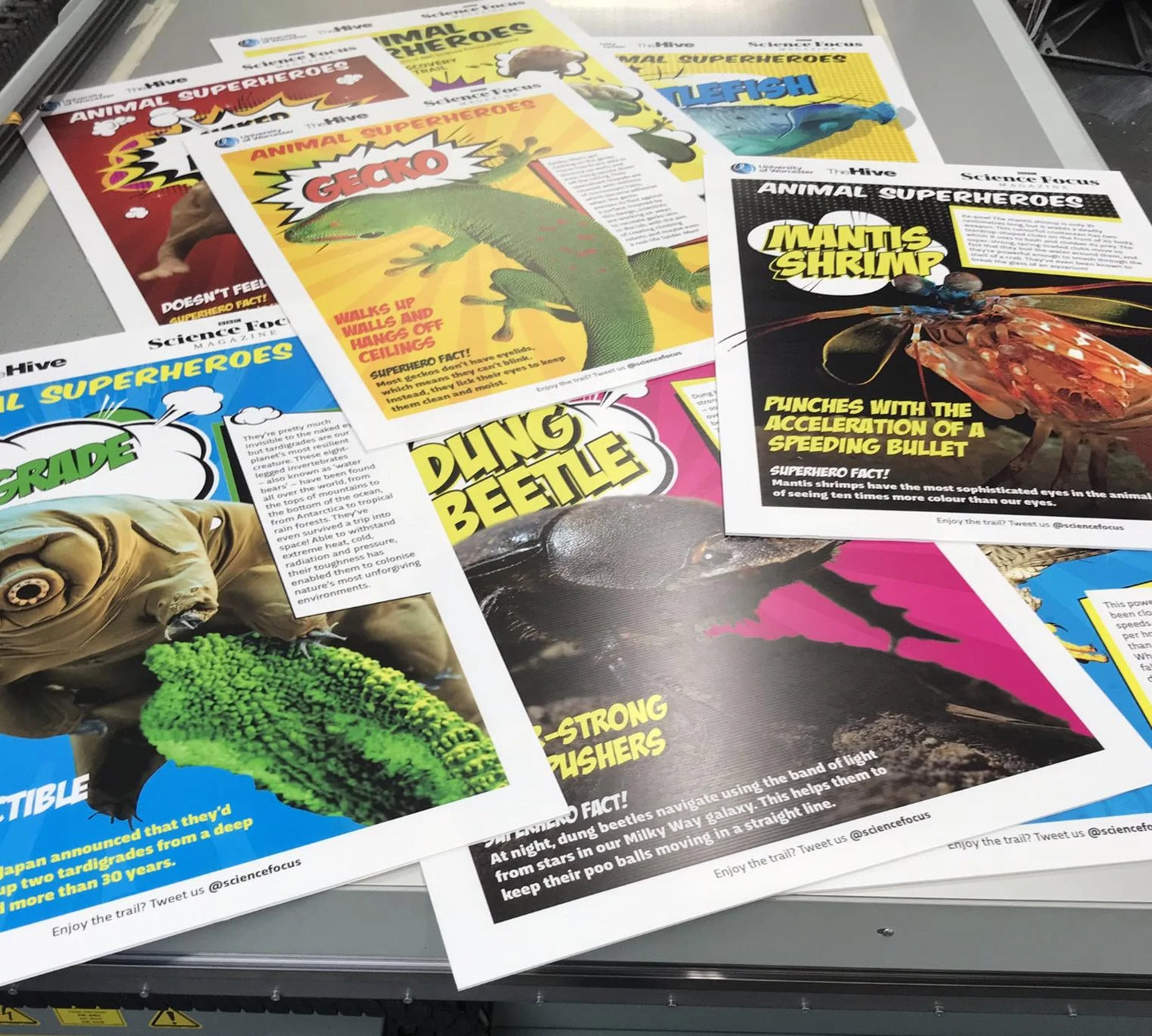 Large Format Posters - 6 Mil Bright White Paper Board, White Vinyl Gloss or Matte Finish. Perfect for your Office Posters, Safety Posters and Artworks. PLEASE CHOOSE SIZE, VINYL AND QUANTITY BEFORE YOU HIT CUSTOMIZE