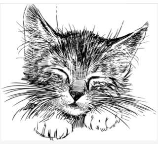 8.5 x 11 Positives Solid Black Ready to Burn on Screen for Silkscreen Printing / clear film / exposure / silkscreen printing / Transparency sheets / PLEASE SEND ALL ARTWORK TO SUNGODPRINT@GMAIL.COM